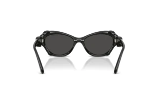 Rückansicht Swarovski SK6050 (108787)