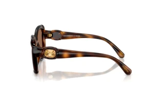 Seitenansicht Swarovski SK6051U (100273)