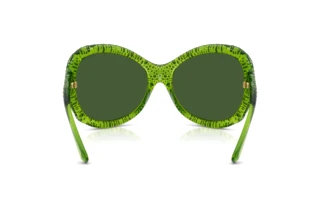 Rückansicht Swarovski SK6052 (108971)