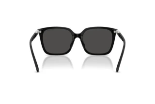 Rückansicht Swarovski SK6053D (103887)