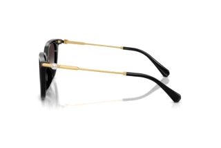 Seitenansicht Swarovski SK6054D (10018G)