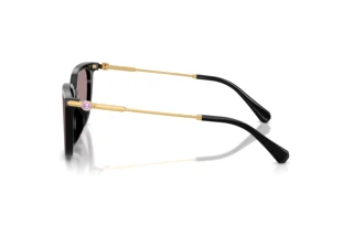 Seitenansicht Swarovski SK6054D (1001LA)