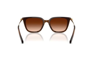 Rückansicht Swarovski SK6054D (108474)