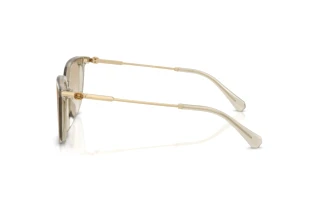 Seitenansicht Swarovski SK6054D (300311)