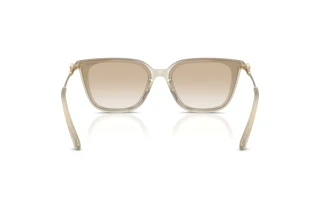 Rückansicht Swarovski SK6054D (300311)