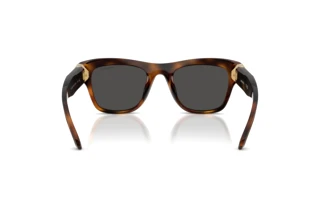 Rückansicht Swarovski SK6056U (100287)