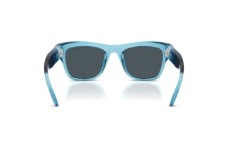 Rückansicht Swarovski SK6056U (107887)