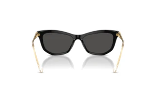 Rückansicht Swarovski SK6057 (100187)