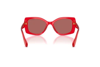 Rückansicht Swarovski SK6058U (110369)