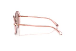 Seitenansicht Swarovski SK6059 (10977N)