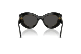 Rückansicht Swarovski SK6060 (110487)