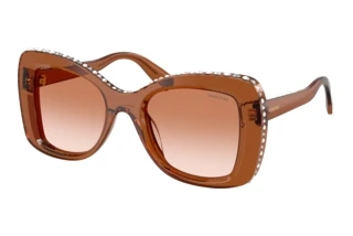 Vorderansicht Swarovski SK6062U (109573)