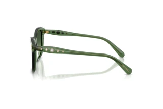 Seitenansicht Swarovski SK6063 (10852A)