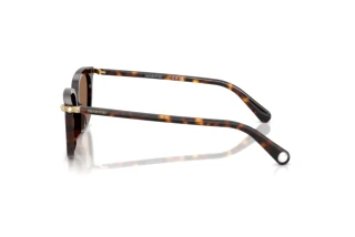 Seitenansicht Swarovski SK6064D (100273)