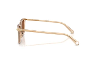 Seitenansicht Swarovski SK6064D (1034OK)