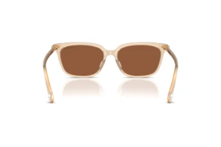 Rückansicht Swarovski SK6064D (1034OK)