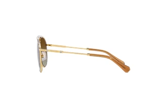 Seitenansicht Swarovski SK7005 (4004T5)