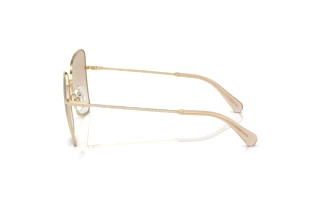 Seitenansicht Swarovski SK7008 (401311)