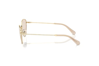 Seitenansicht Swarovski SK7014 (4013M4)