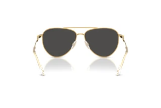 Rückansicht Swarovski SK7031 (400487)