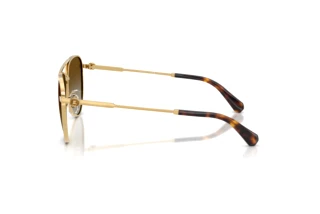 Seitenansicht Swarovski SK7031 (4037T5)