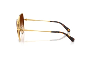 Seitenansicht Swarovski SK7037 (400774)