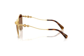 Seitenansicht Swarovski SK7040 (4007TO)