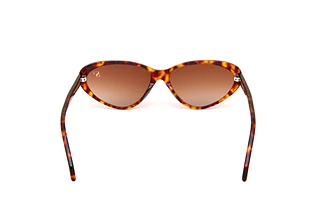 Rückansicht Sylvie Optics Flirty-Sun (02)