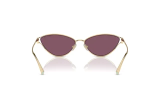 Rückansicht Tiffany TF3095 (6194AK)