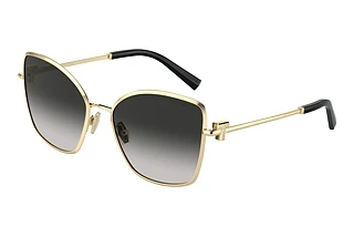 Tiffany TF 3102B 60213C