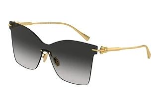 Tiffany TF 3103K 62113C