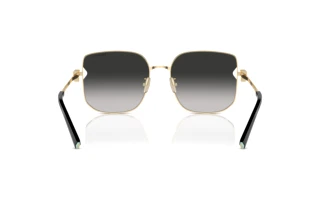 Rückansicht Tiffany TF3105D (6021S4)