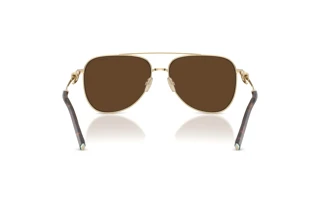 Rückansicht Tiffany TF3116 (61933G)