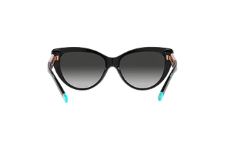 Rückansicht Tiffany TF4196 (80013C)