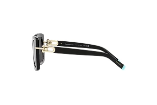 Seitenansicht Tiffany TF4199 (8001S4)