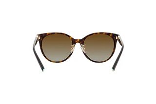 Rückansicht Tiffany TF4209D (8015T5)