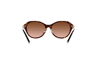 Rückansicht Tiffany TF4210D (80153B)