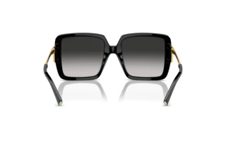 Rückansicht Tiffany TF4212U (80013C)