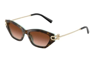 Vorderansicht Tiffany TF4231U (81343B)