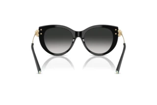 Rückansicht Tiffany TF4232 (80013C)