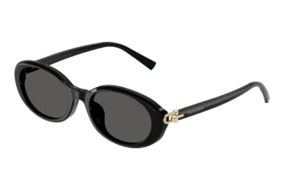 Vorderansicht Tiffany TF4242D (8361S4)