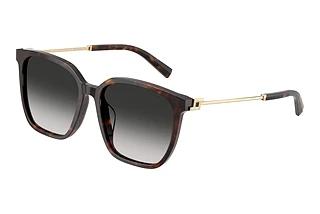 Tiffany TF 4244D 80153C