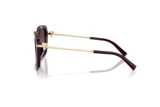 Seitenansicht Tiffany TF4252B (8427V7)