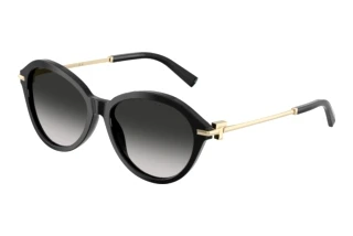 Vorderansicht Tiffany TF4259 (80013C)