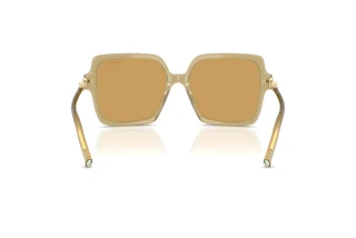 Rückansicht Tiffany TF4260U (846173)