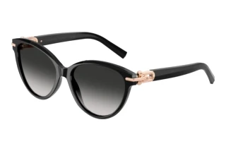 Vorderansicht Tiffany TF4261 (80013C)