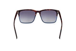 Rückansicht Timberland TB9306 (52D)