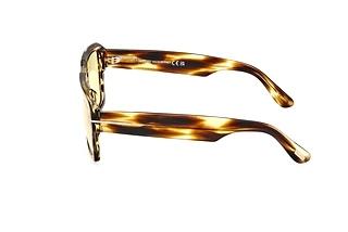 Seitenansicht Tom Ford REDFORD (FT1153 - 52E)