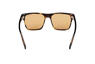 Rückansicht Tom Ford CALDER (FT1205 - 56E)