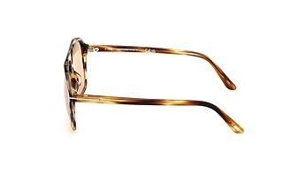 Seitenansicht Tom Ford AUTARI (FT1209 - 56E)